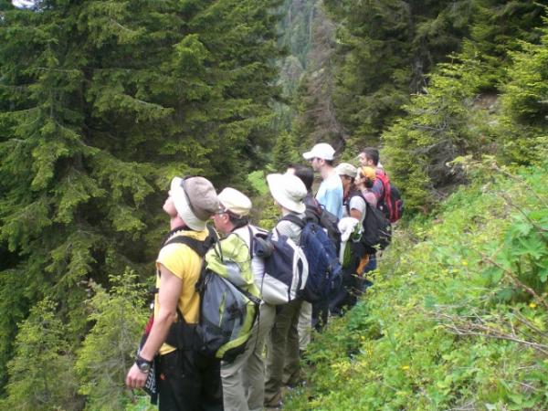 doğa yürüyüşü yapma