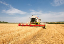 Tarım da Teşvik, Hibe ve Krediler çifçilere destekler