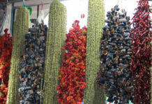 Kurutulmuş Sebze Satmak | İş Fikirleri kurutulmus sebze satmak