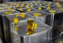 Zeytin Yağı ve Yeşil Zeytin Satmak | İş Fikirleri Köylerden zetinyağı alarak satmak