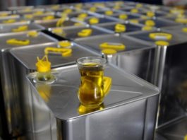 Zeytin Yağı ve Yeşil Zeytin Satmak | İş Fikirleri Köylerden zetinyağı alarak satmak