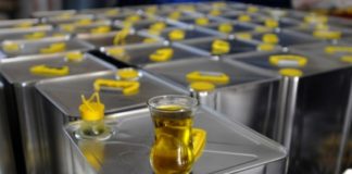 Zeytin Yağı ve Yeşil Zeytin Satmak | İş Fikirleri Köylerden zetinyağı alarak satmak