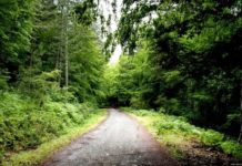 Canlandıran Tatili ve Tuz Odaları İle Kazdağları kazdağları termal