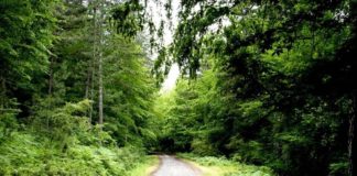 Kazdağları Gezi & Konaklama Rehberi (2025 Güncel Bilgiler) kazdağları termal