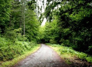 Kazdağları Gezi & Konaklama Rehberi (2025 Güncel Bilgiler) kazdağları termal