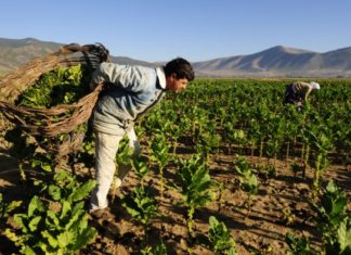 Kırsal Kalkınma Programı ( IPARD ) Destekleri kalkınma ajansindan hibe nasil alinir