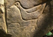 Define İşaretleri ve Anlamları Hazine isaretleri