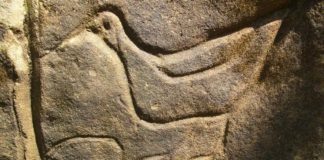 Define İşaretleri ve Anlamları Hazine isaretleri