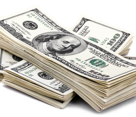 son 1 ayda dolar ne olur