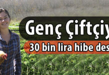 Gıda, Tarım ve Hayvancılık Bakanlığı’ndan Teşvik Alma Şartları