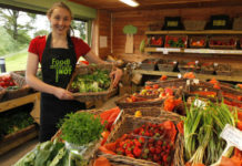 Köy Ürünleri Satarak Para Kazanmak | Organik Gıdalar Satmak Organik besin satmak