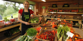 Köy Ürünleri Satarak Para Kazanmak | Organik Gıdalar Satmak Organik besin satmak