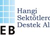 KOSGEB Hangi Sektörlere Destek Veriyor? Kosgebin desteklediği işler