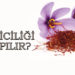 Safran yetiştirip satmak