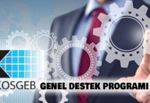 KOSGEB Hangi İş Fikirlerini Destekliyor? | KOSGEB Örnek İş Fikirleri KOSGEB Hhangi işlere destek veriyor