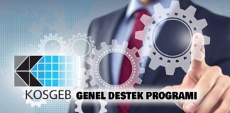 KOSGEB Hangi İş Fikirlerini Destekliyor? | KOSGEB Örnek İş Fikirleri KOSGEB Hhangi işlere destek veriyor