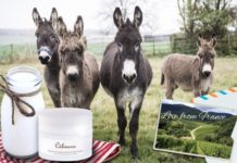Eşek Sütü Üretimi Nasıl Yapılır? | Eşek Sütü Çiftliği Kurmak