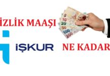 2025 İşsizlik Maaşı Ne Kadar? En yüksek ve en düşük işsizlik Maaşı