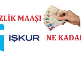 2025 İşsizlik Maaşı Ne Kadar? En yüksek ve en düşük işsizlik Maaşı