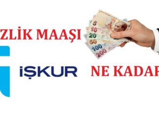 2026 İşsizlik Maaşı Ne Kadar? En Düşük ve En Yüksek Kaç TL? En yüksek ve en düşük işsizlik Maaşı