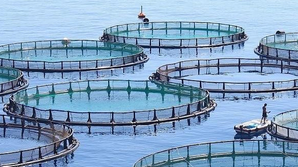 60 Adet Karli Yeni Ek Is Fikri Efsane Liste 2020