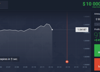İkili Opsiyondan Para Kazanan Var mı?