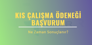 Kısa Çalışma Ödeneği Başvurusu Ne Zaman Sonuçlanır? Kısa çalışma sorgulama