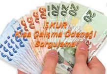 Kısa Çalışma Ödeneği Maaş Sorgulama