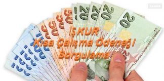Kısa Çalışma Ödeneği Maaş Sorgulama