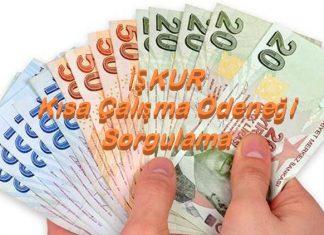 Kısa Çalışma Ödeneği Maaş Sorgulama