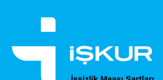 2025 İşsizlik Maaşı Şartları Nasıl Alınır ve Hesaplanır? Yeni işsizlik maaşı şartları